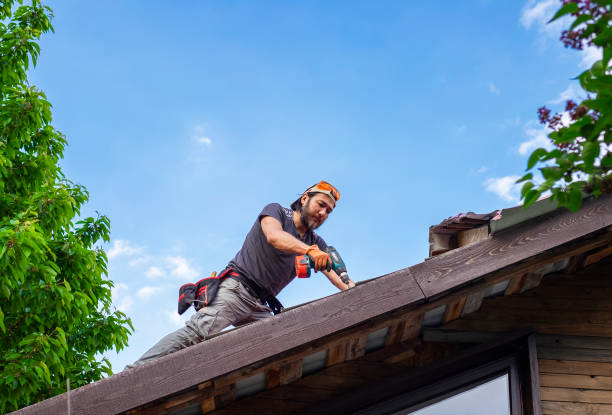 Best Roof Insulation Installation  in Trenton, TN