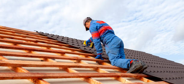 Best Metal Roofing Installation  in Trenton, TN