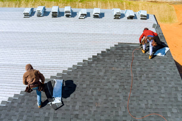 Best Roof Moss and Algae Removal  in Trenton, TN